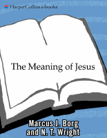 The_Meaning_of_Jesus.epub