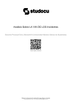 analisis-sobre-la-via-de-los-incidentes.pdf